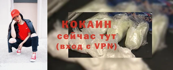винт Белокуриха