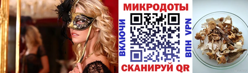 блэк спрут ссылки  Котельники  Галлюциногенные грибы Psilocybe  где найти  